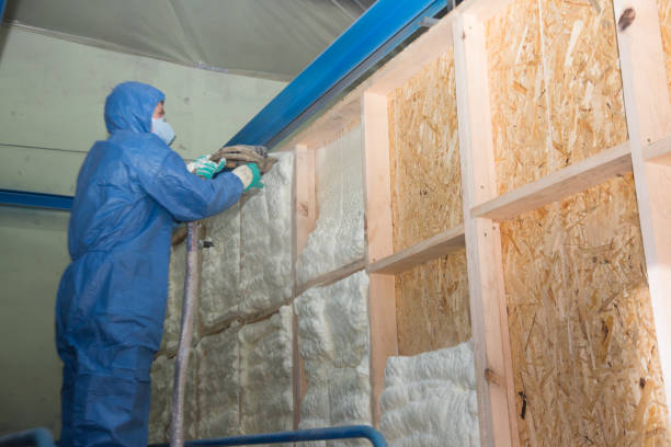Best Cellulose Insulation  in Clancy, MT
