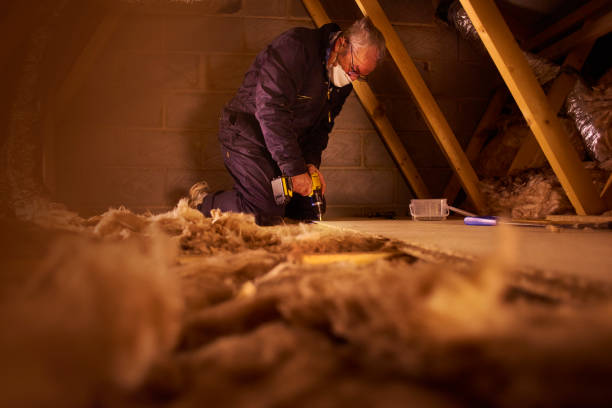 Best Insulation Removal  in Clancy, MT